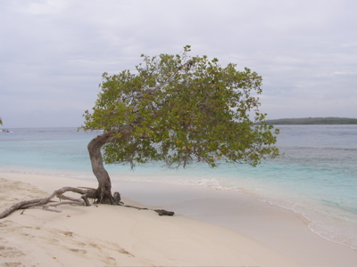 Cayo Sombrero